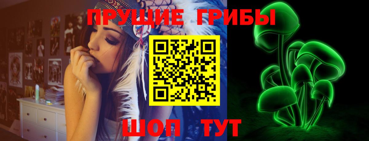 Псилоцибиновые грибы GOLDEN TEACHER Миасс